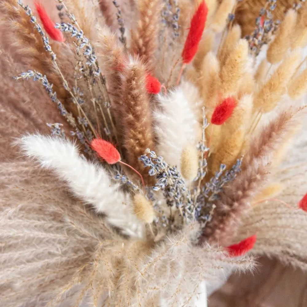 Ramo de Flores Secas Naturales - Pampas Grass Decor reseña y precio