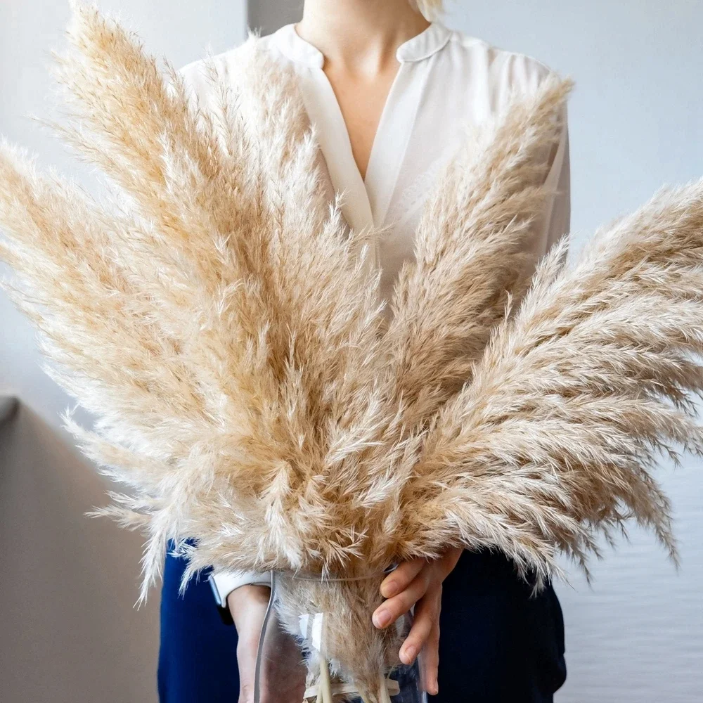 Hierba de Pampa grande esponjo - Pampas Grass Decor reseña y precio