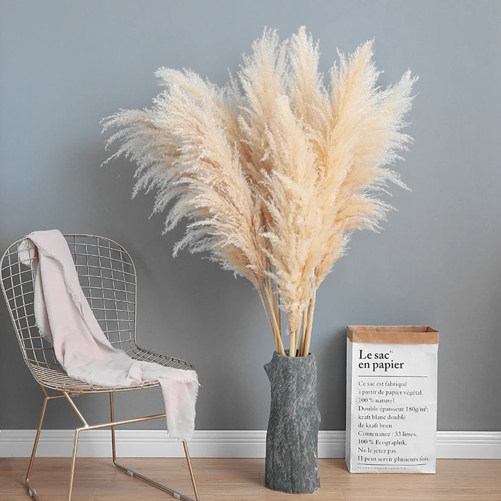 Hierba de Pampa grande esponjo - Pampas Grass Decor reseña y precio