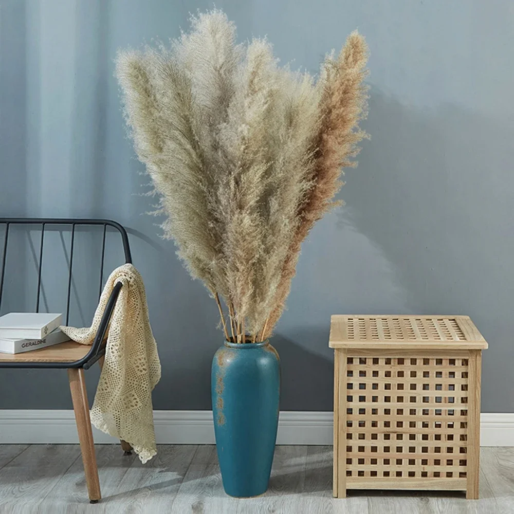 Hierba de Pampa grande esponjo - Pampas Grass Decor reseña y precio