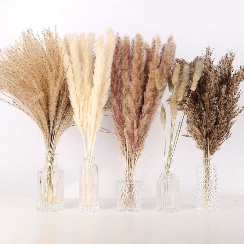 100 unidades de ramilletes de  - Pampas Grass Decor reseña y precio