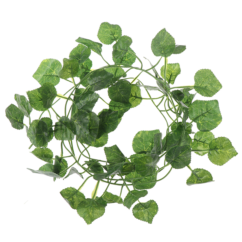 Hoja de plantas verdes de vid  - Rattan Plant Basket reseña y precio