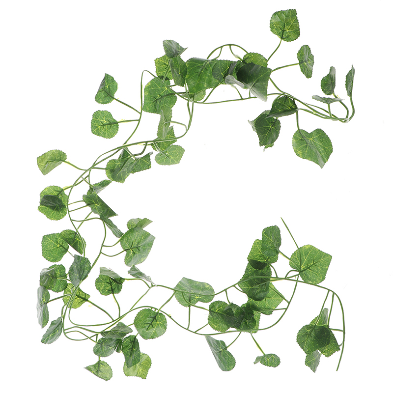 Hoja de plantas verdes de vid  - Rattan Plant Basket reseña y precio