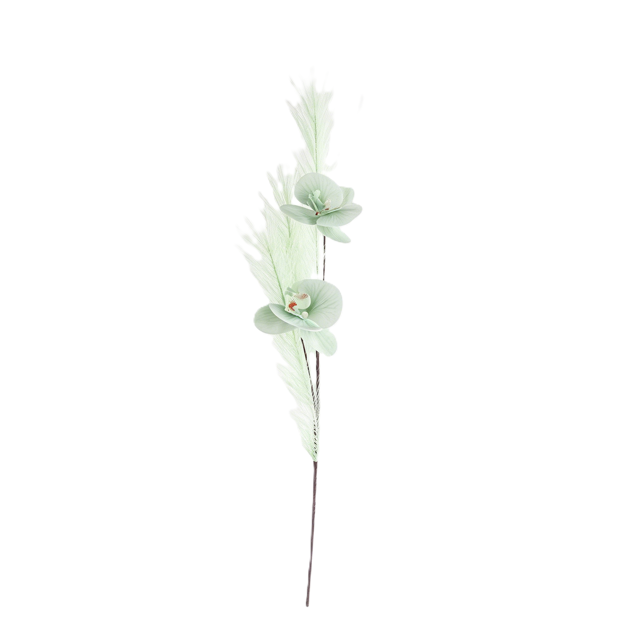 Tallo de Orquídea Phalaenopsis - Pampas Grass Decor reseña y precio