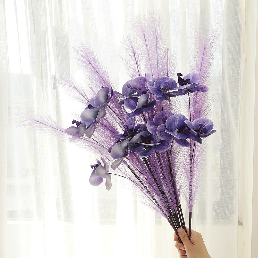 Tallo de Orquídea Phalaenopsis - Pampas Grass Decor reseña y precio